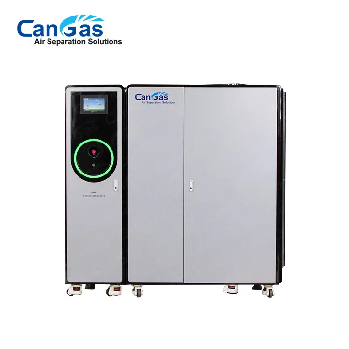 Oxygen source compact oxygen generator for ozone water treatment