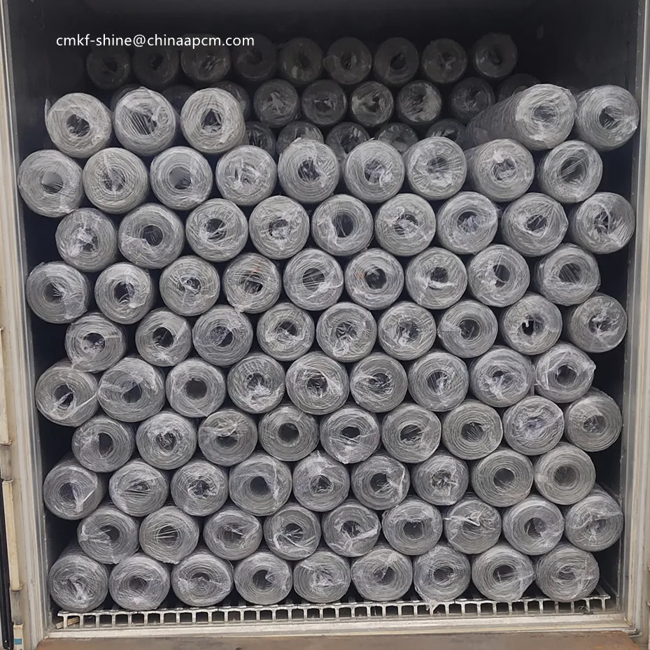 High Tensile Strength Galvanized Hexagonal Wire Mesh for bird cage