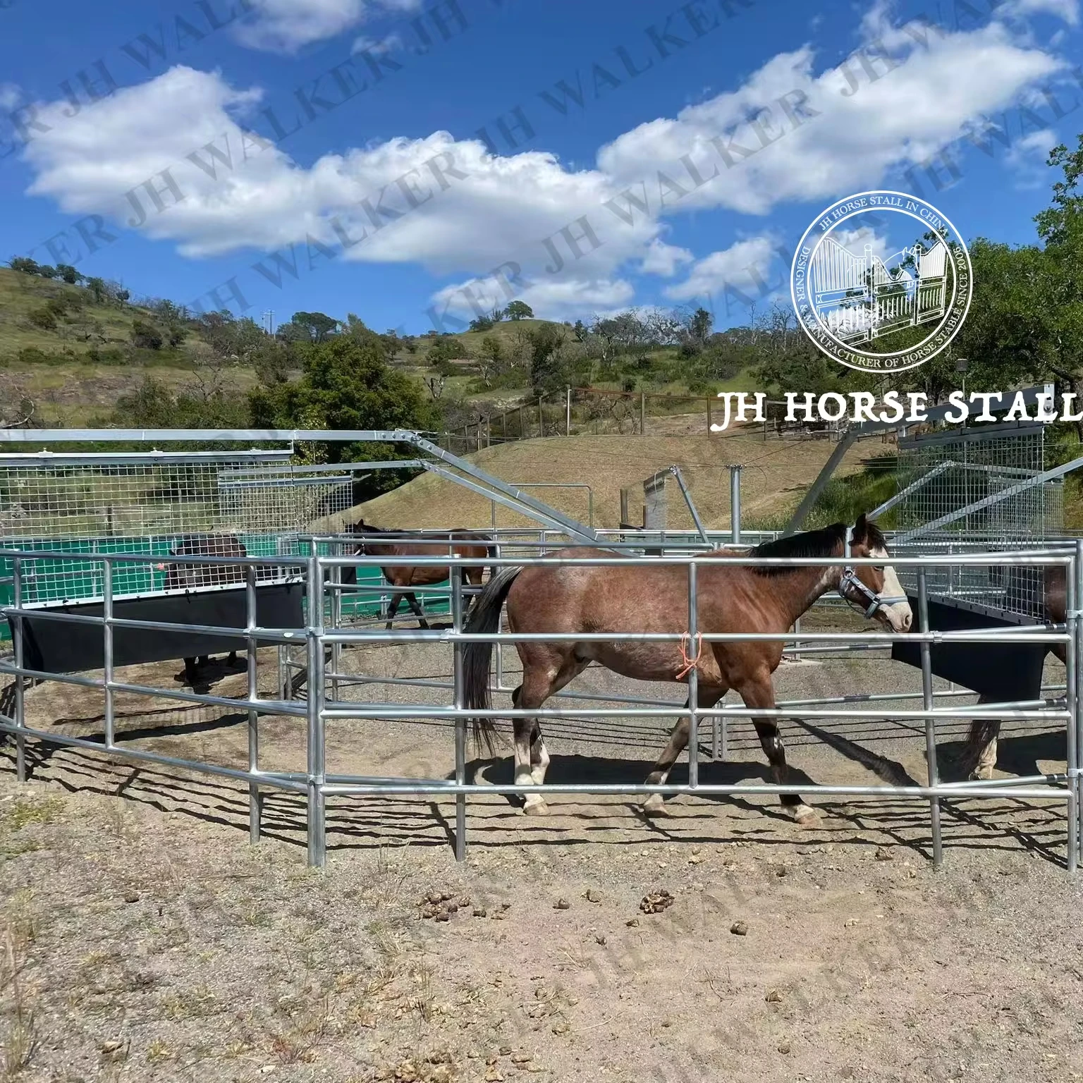 Hot dip galvanized Safety Horse walker for horse to exercise with 6 horse position