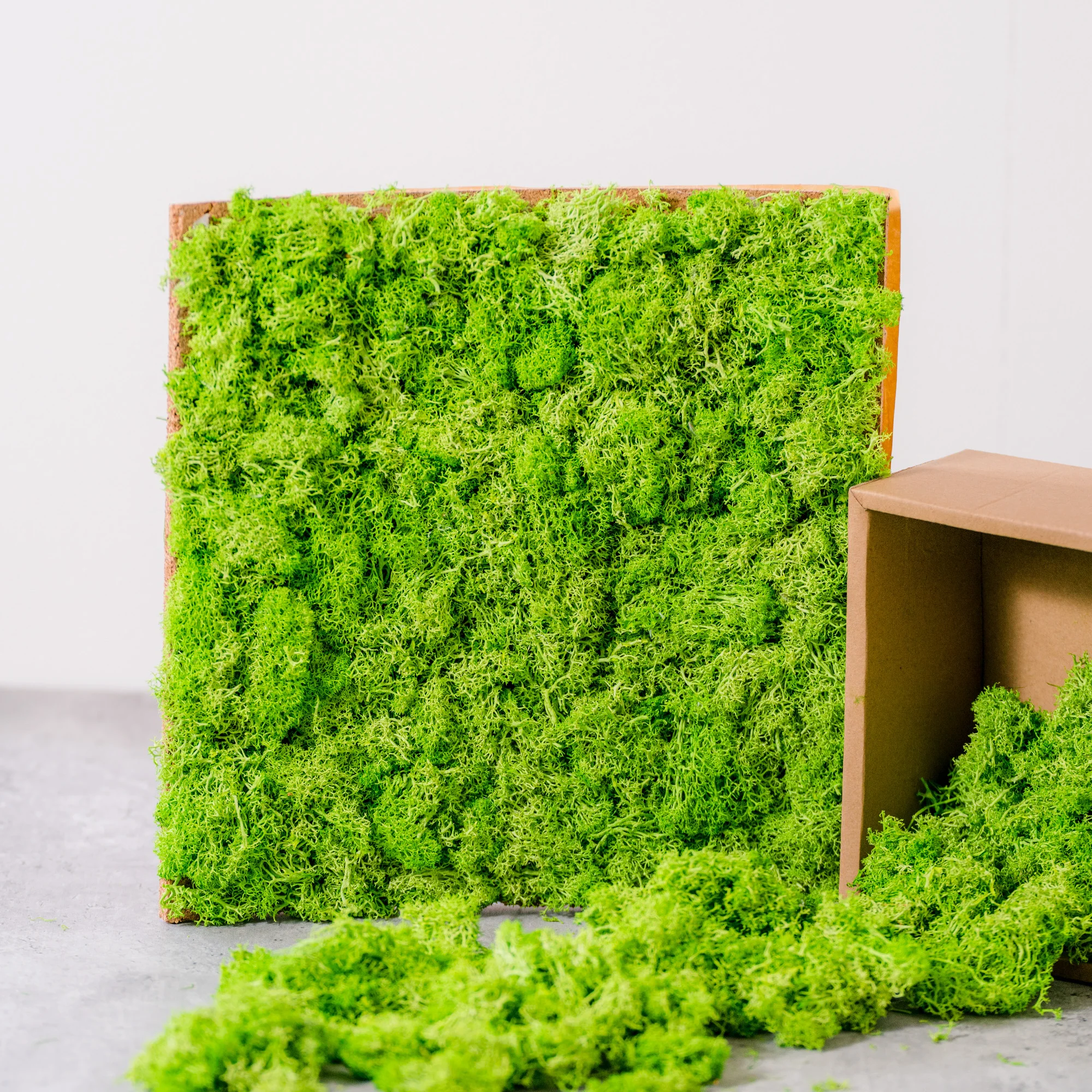 high quality Wall Art Moss Panel Decorations Tiles Architectural Factory Supply real Preserved flower Moss