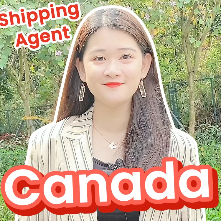 Cheapest Sea Freight Forwarder To Canada Amazon Ship To Canada