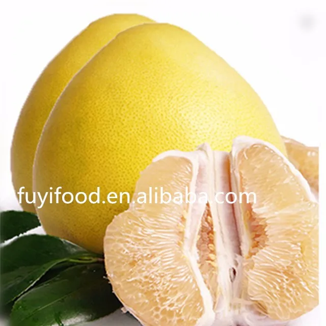 Fresh export pomelo fruit/good honey pomelo/competitive pomelo price