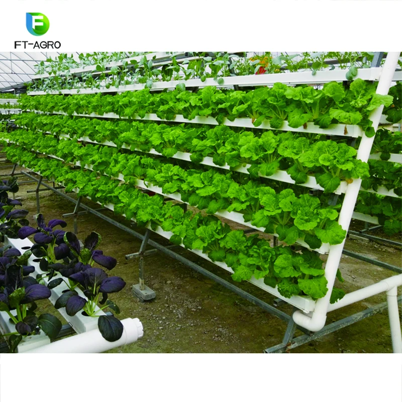 A Type Planting Frame Hydroponic Growing System For Greenhouse (1600283494309)