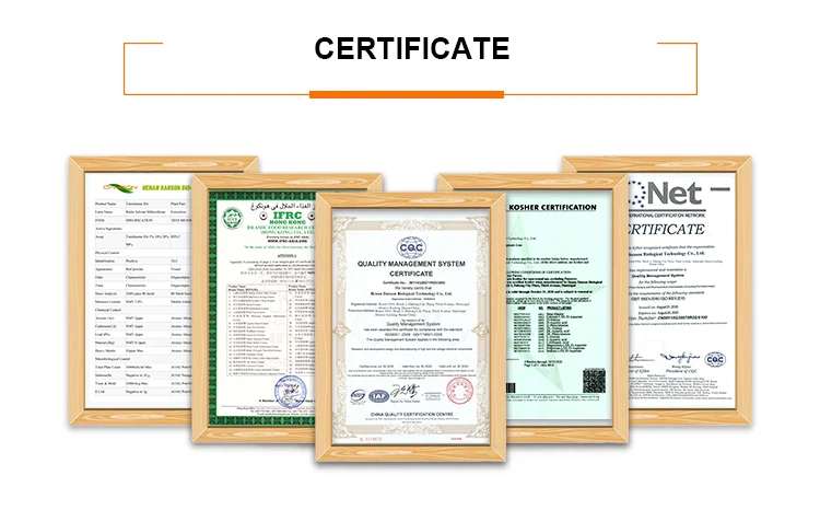 Factory price docosahexaenoic acid DHA omega 3 powder omega-3 fish oil omega-3 powder