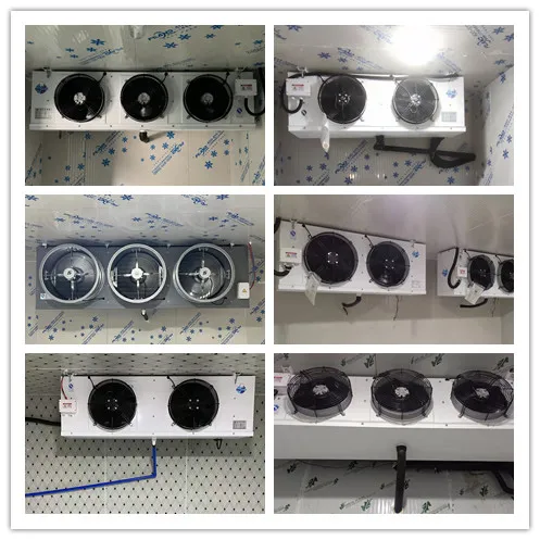 Walk In Cooler Condensing Unit and Evaporator for Cold Room