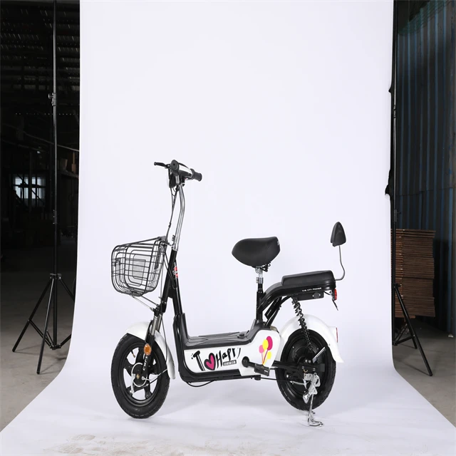 Electric ATV 4X4  Bike  Driving Adult two Wheels  Color fat tire electric bike