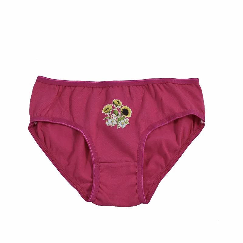 Factory Wholesale Girl Triangat Underwear Calcinha Infantil