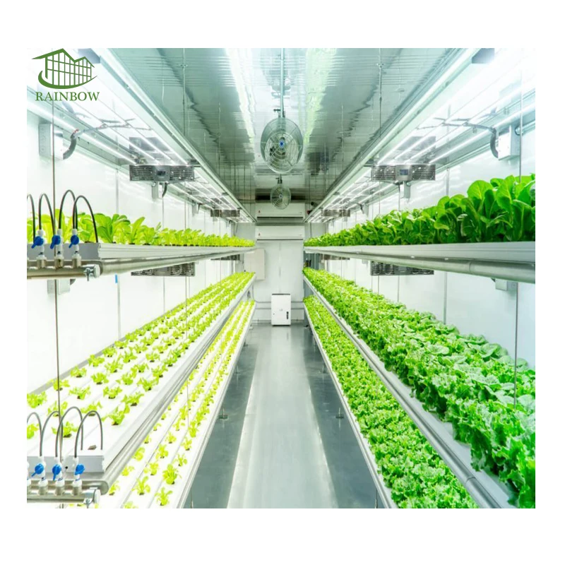 Гидропонный контейнер для салата/салата