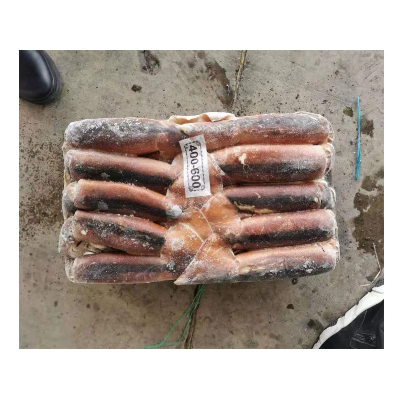 Illex Argentina Frozen Squid Seafood Illex Squid