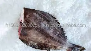Buy Frozen Greenland Halibut Fish And Head for sale