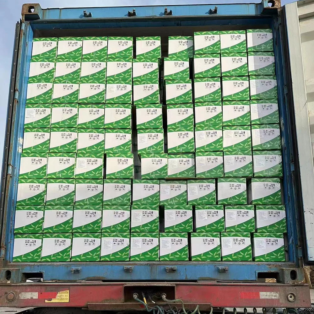 2023 Fresh Chinese peeled Garlic Cloves with long life 1kg vacuum bag for Australia market