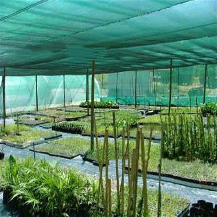 Wholesale Hot Sale Shade Net Netting with UV stabilizer for agriculture Green House
