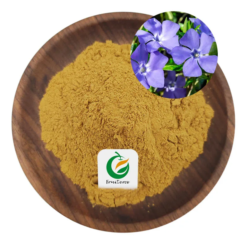 Fruiterco High Quality 10x 20x Vinca Minor Flower Periwinkle Extract Powder
