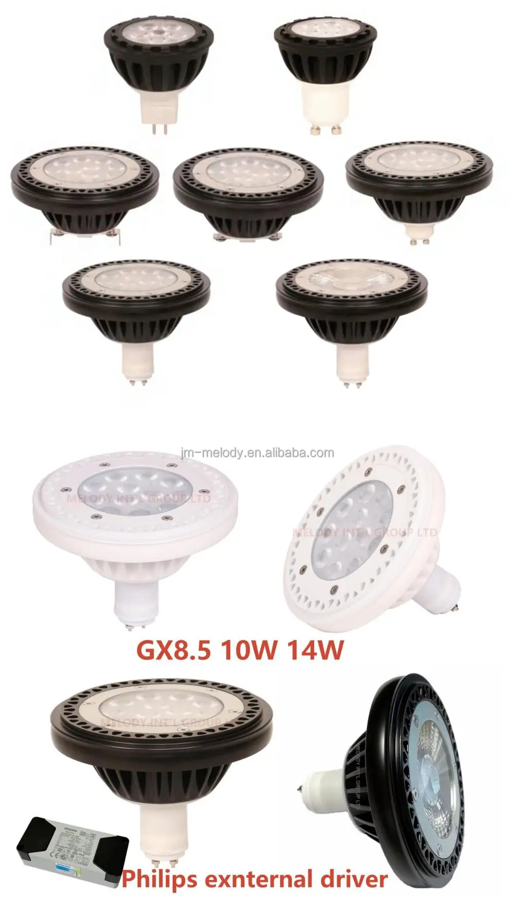 G Series LED Spotlight 2