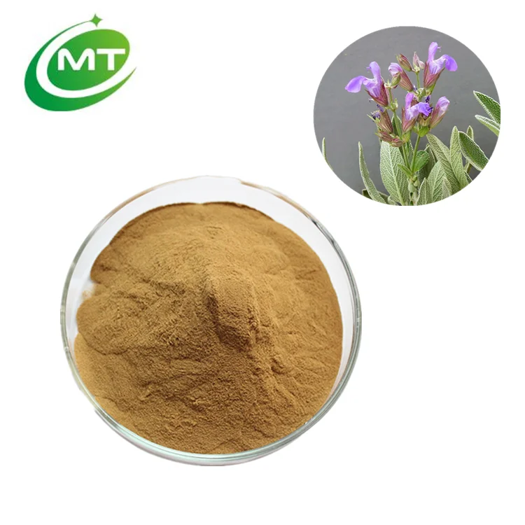 Organic sage extract S.officinalis extract sage leaf extract for memory