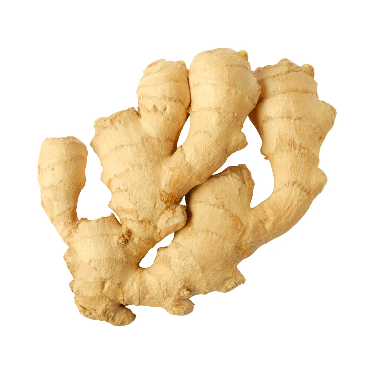 Green Fresh Dried Ginger from 100% natural turmeric premium quality product wholesale size 1 kilogram from Vietnam.