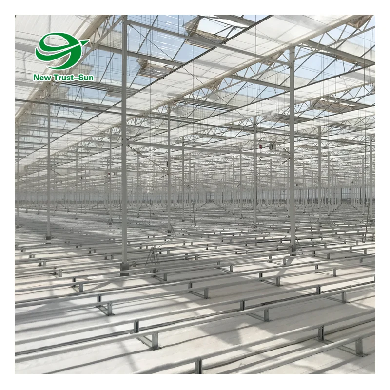 Polycarbonate sheet Green house tomato hydroponics growing greenhouse for agricultural