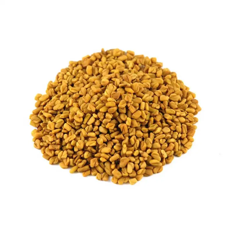 High Quality Good Price Egypt Dried Fenugreek Seeds For Wholesale