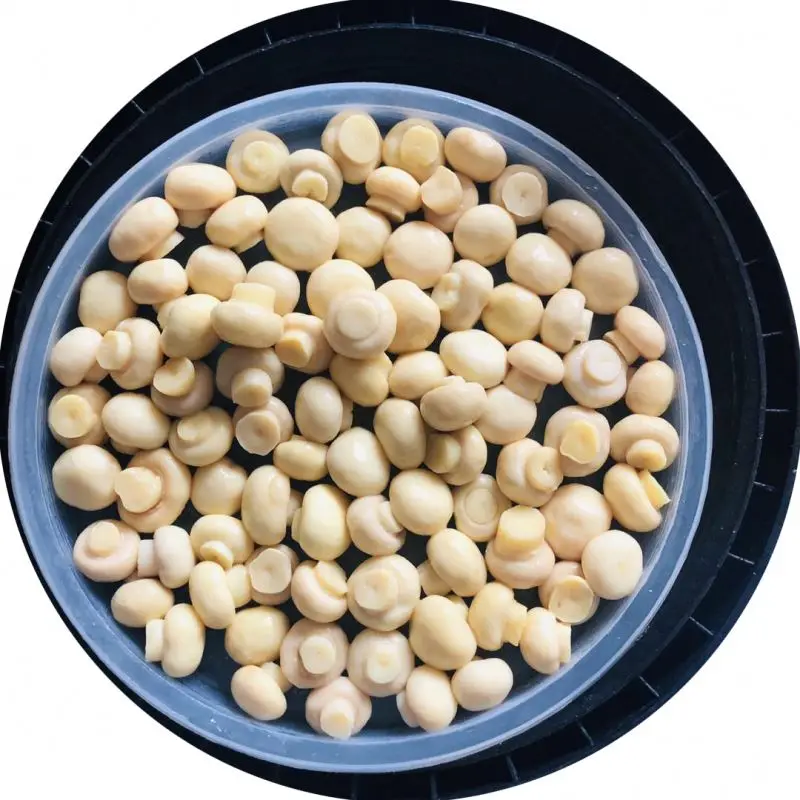 
salty shiitake mushrooms 