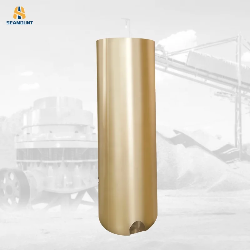 Large diameter shaft sleeve bearings for electric motors for pump machinery