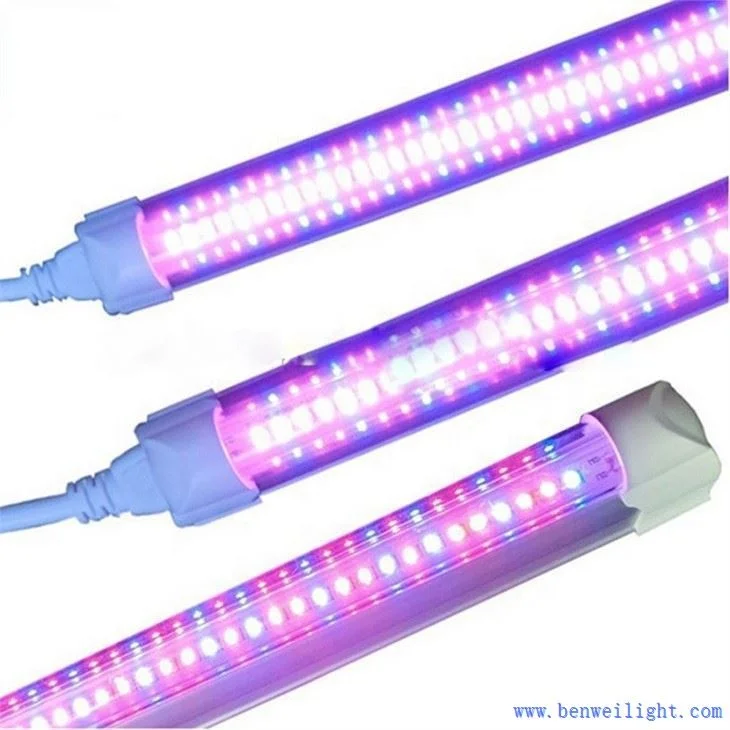 Led Lamp For Plants Flower Lamp Seeds To Plant Grow Indoor Plant Growing Light for Interior Cultivation Cabinet Camping Tent