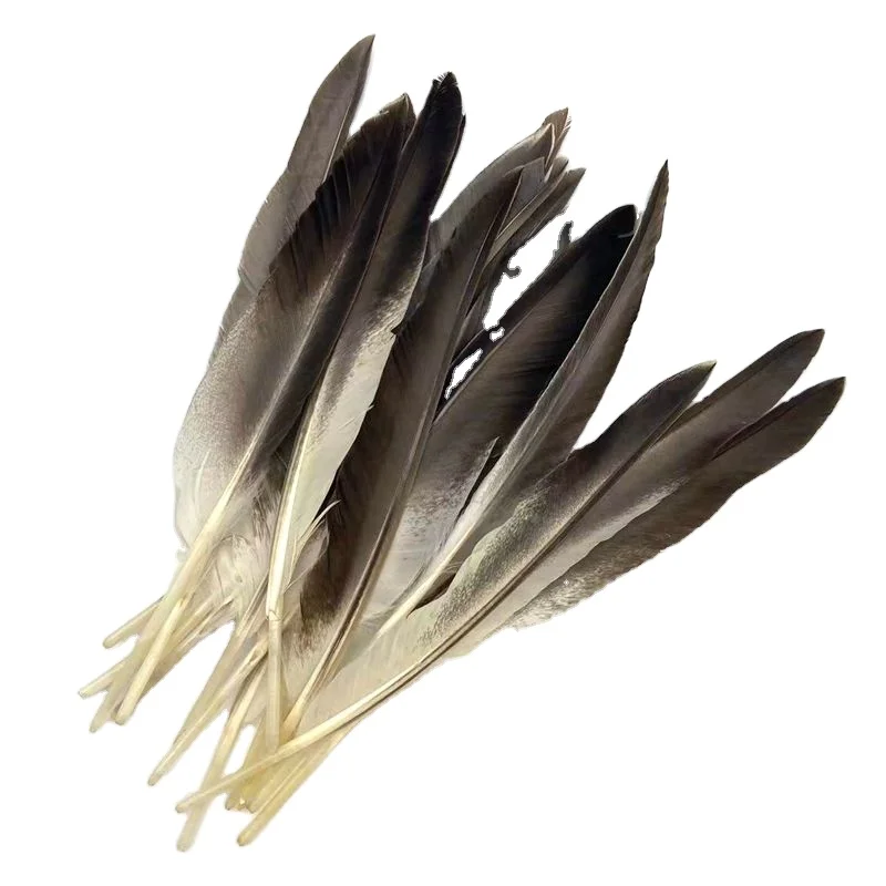 Высококачественные серые утиные перья 20-25 см крылья пуховые гусиные для украшения