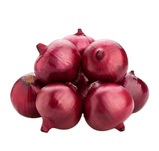 Chinese fresh onion red color packing 10kg mesh bag for selling