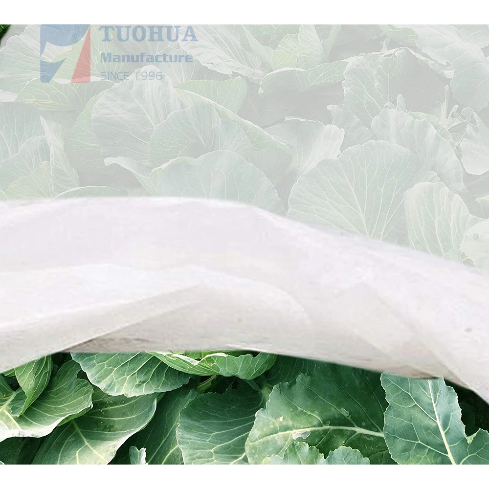 Good Price Plant Cover with 100% Polyprpopylene Spunbond Non woven Fabric