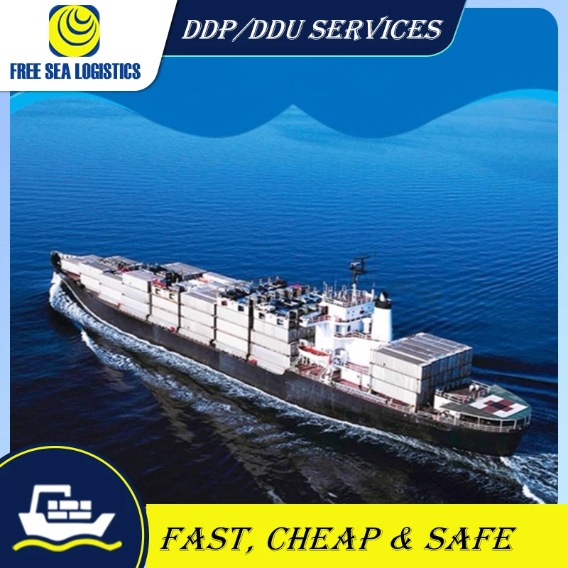 customs clearance services Agent From China to Saudi Arabia/UAE  DDP freight forwarder sea shipping