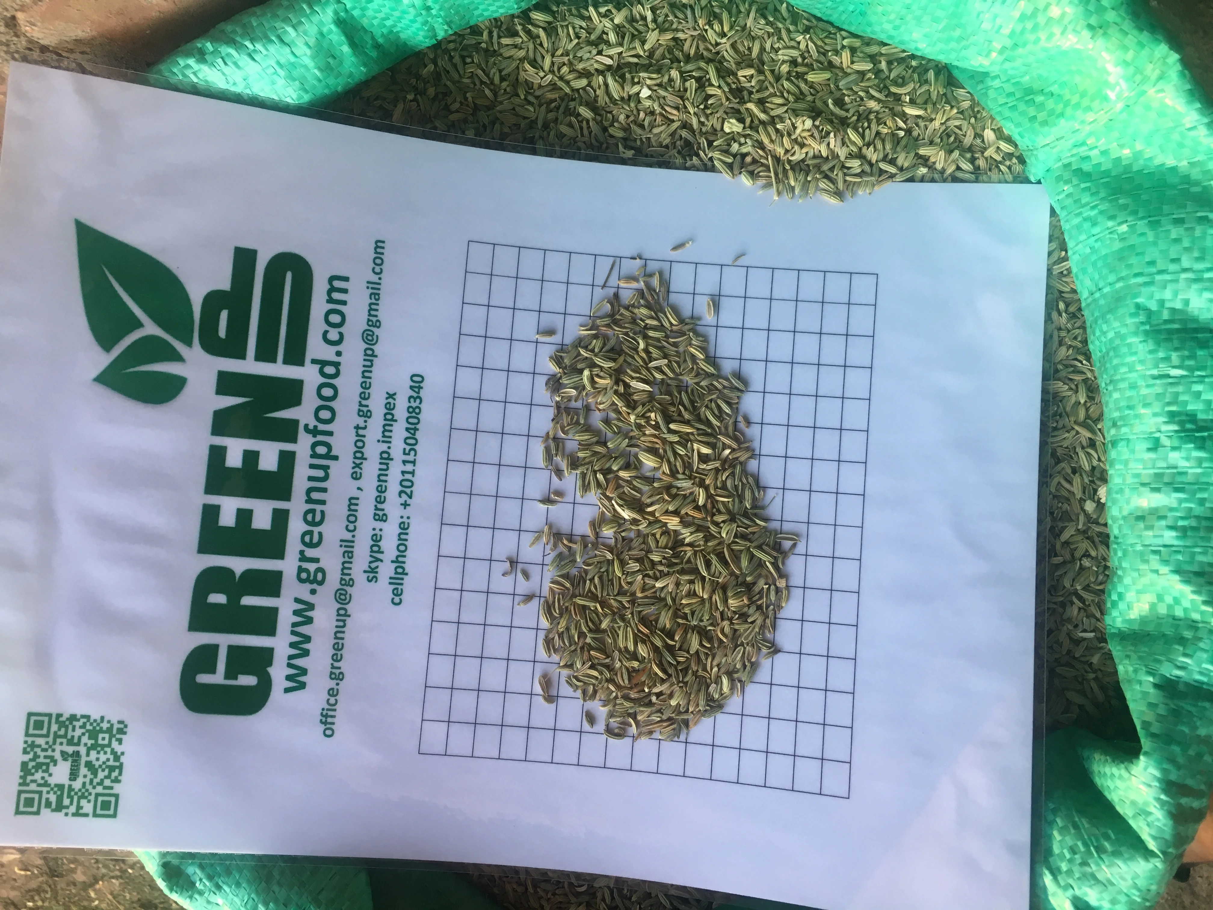 fennel seeds Foenniculum vulgare  high quality green color no much halves no stem no small seeds no empty seeds fresh crops