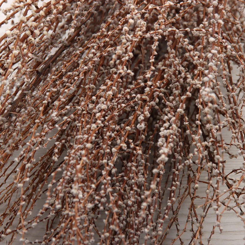 new arrival hot sale real natural snow willow grass other decorative dried flowers and plants