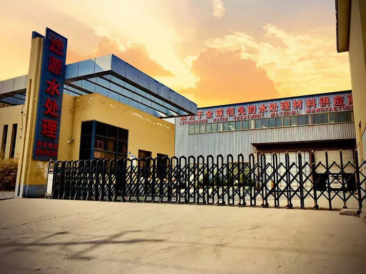 Coal Processing to Produce Special High Mmolecular Weight Negative Charge Anionic Polyacrylamide