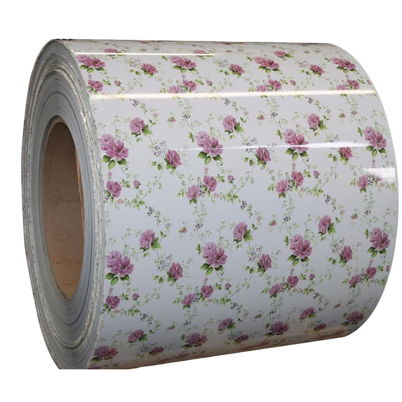 color coated Prepainted galvanized steel coils zinc 100g various thicknesses PPGI