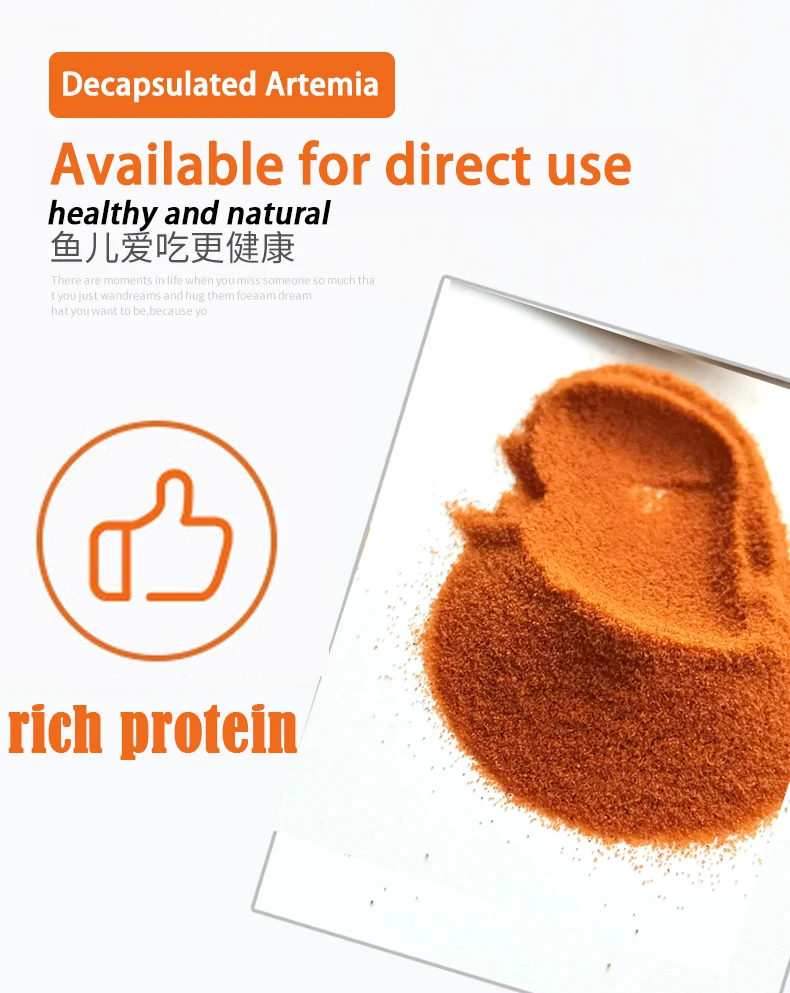 Hot Sale Decapsulated Artemia high Protein Fish Meal Ornamental guppy fish food Artemia Brine Shrimp Eggs