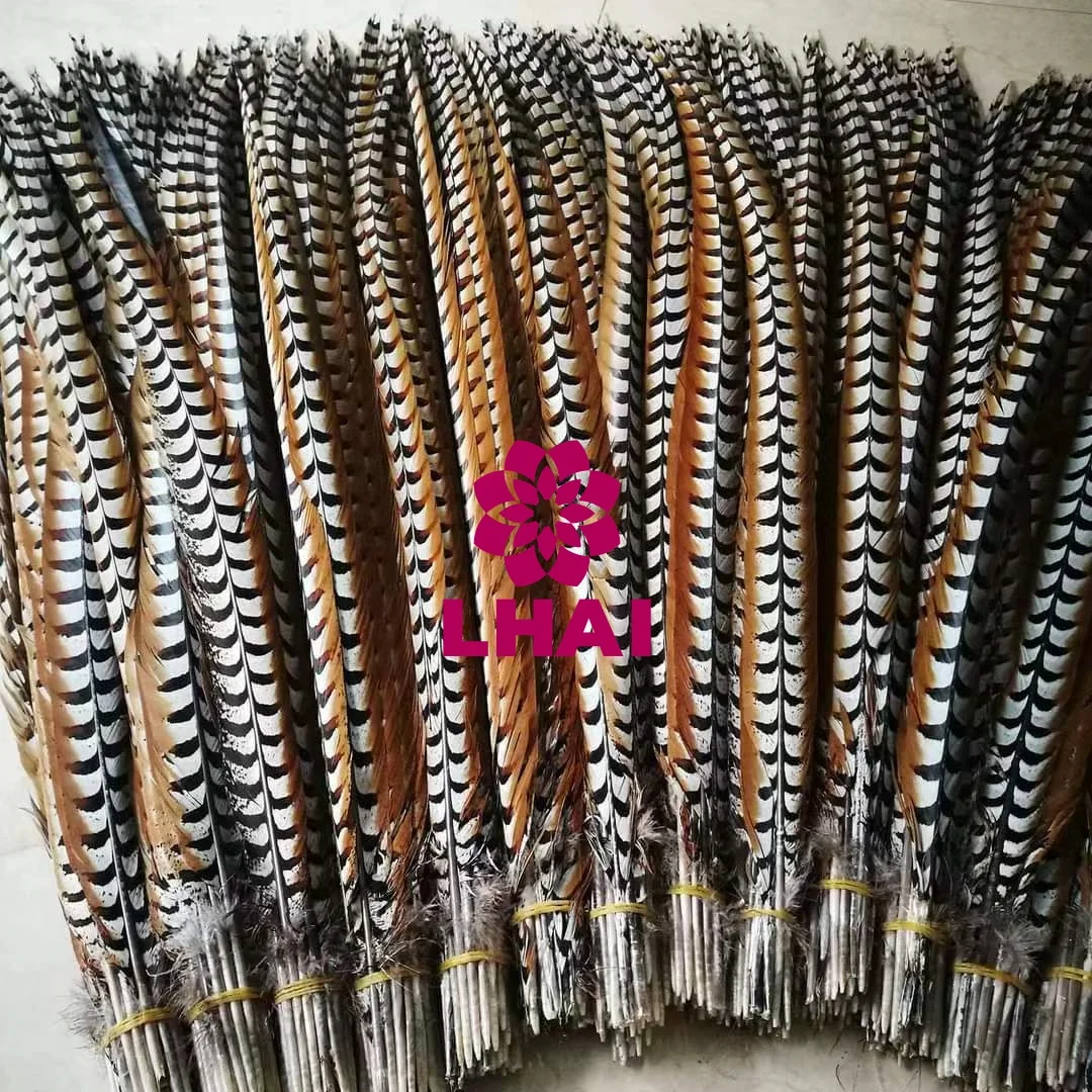 Natural Feathers Wholesale High Quality Long Reeves Pheasant Feathers for Carnival Costumes