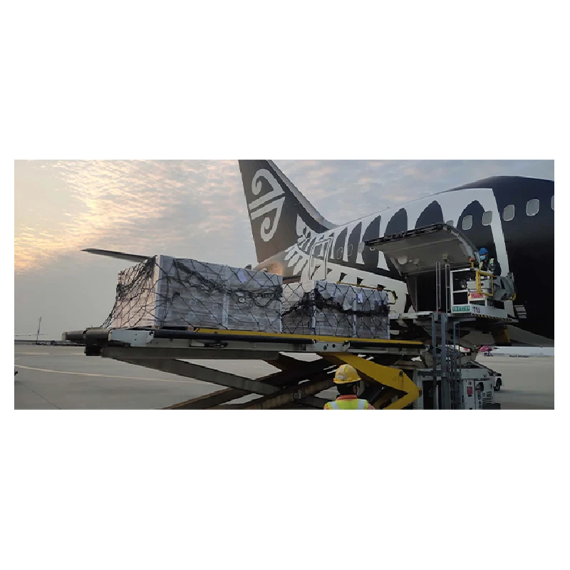 
New Zealand/Korea/China Reliable DDP cargo shipping container logistic Shipping Freight Forwarder 