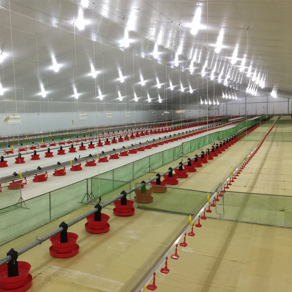 Конструкция из быстрой стали конструкция куриного домика сборная птицеферма строительный сарай