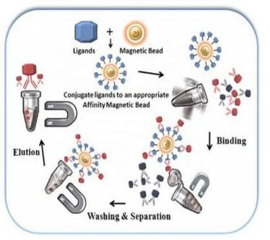 Hycovita Beads TM Si2-OH Magnetic nano-spheres for DNA&RNA extraction and purification