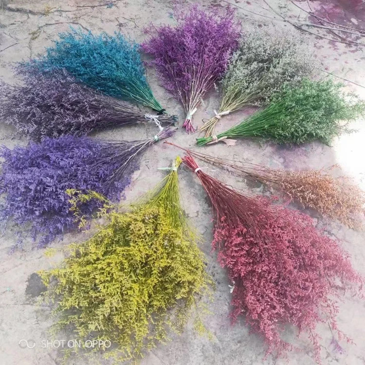 Factory supply preserved flower Preserved Sea Lavender flower Limonium dry crystal grass from Kunming Rainbow