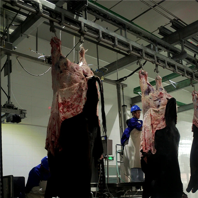 v_type_sheep_slaughtering_halal_ritual_killing_box_for_goat_abattoir