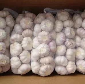 Chinese white garlic