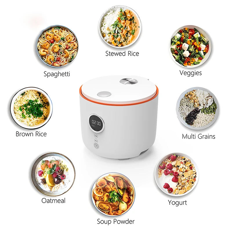 Multi-Function Rice /Soup /Pasta /Porridge /Ramen Boiling Water Mini Electric Cooker Non-Stick Rice Cooker