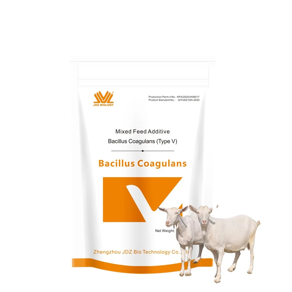 China Supplier Wholesale Made In China Simple and Convenient Operation Bacillus Bacillus Piensos