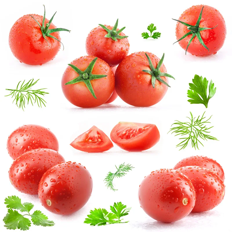 Greece HOT sell Fresh Tomato sweet  Natural red  Best quality wholesale fresh tomato price