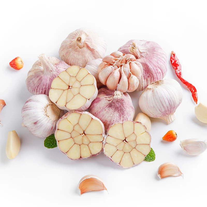 
top quality China cheap fresh garlic for wholesale 