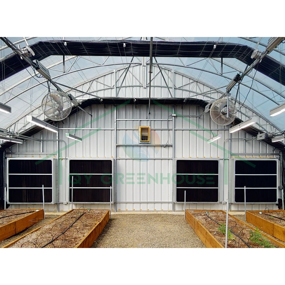 32m*24m Multi-Span Film Light Deprivation Greenhouse Blackout Greenhouse