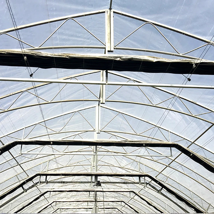 Hemp plants growing inner shading system blackout automatic control light deprivation greenhouse for medical planting