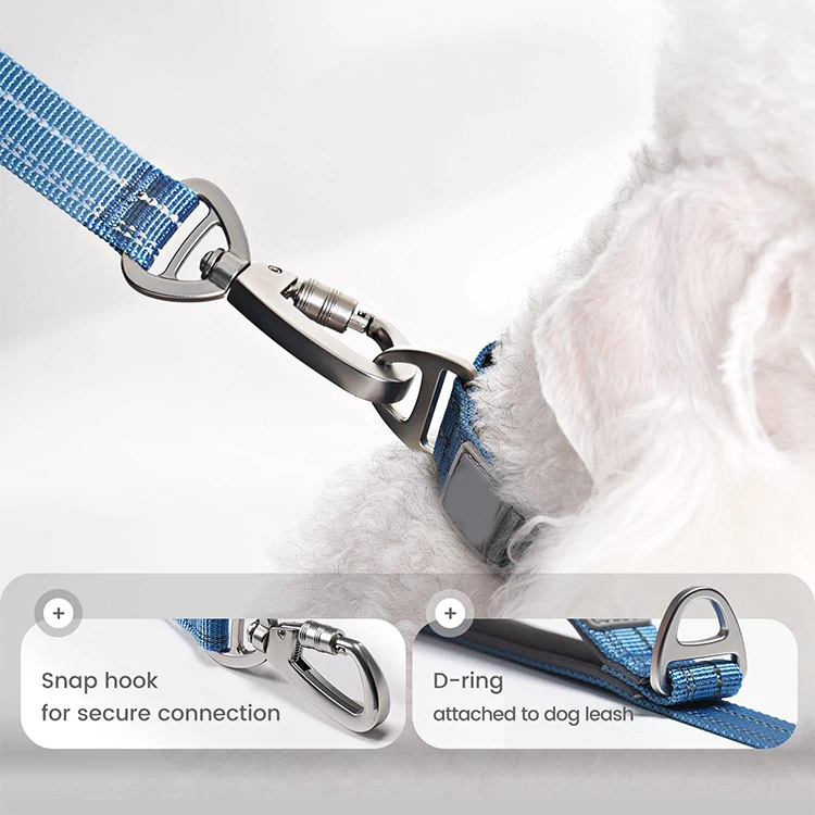 QQgift custom Dog Lead and Collar Set for Small Dog Adjustable pet Lead with Carabiner and Padded Handle with Reflective Stripes