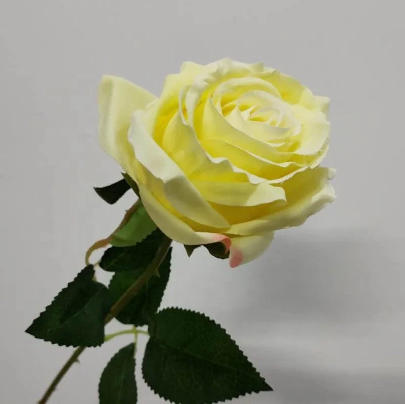 QiHao, лидер продаж, шелковые искусственные розы на стебель с одной головкой для Дня Святого Валентина