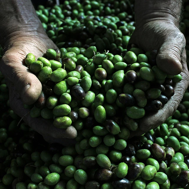 Ursini Couple Italian Extra virgin olive oil with Yellow Lemon 100 ml and 250 ml glass bottle for retail